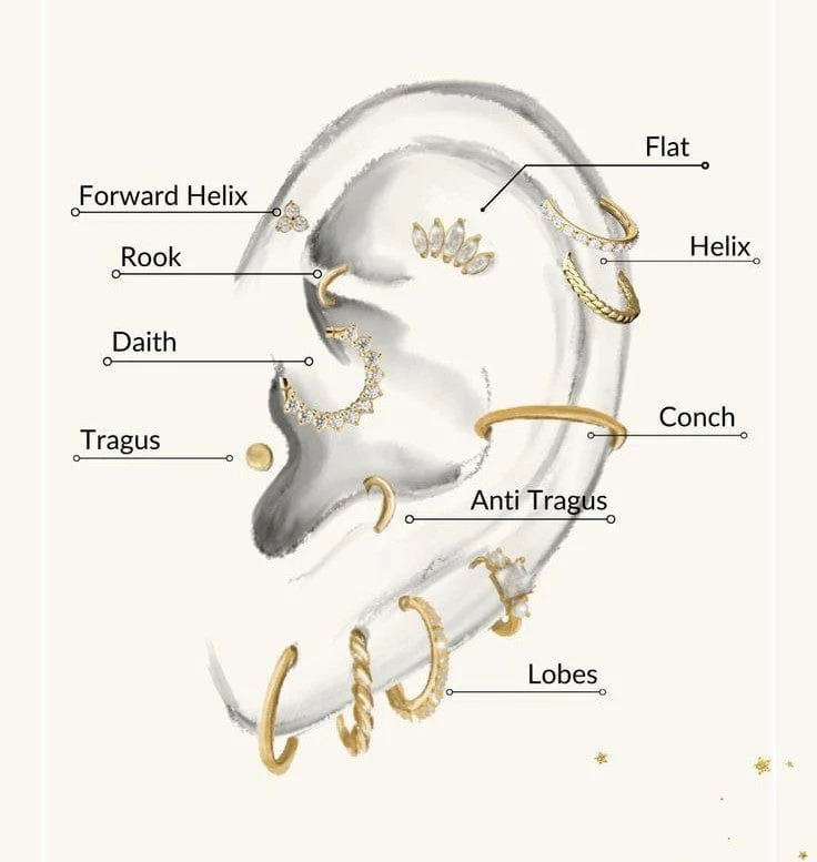 The Ultimate Guide to Ear Piercing Styles: Anatomy, Jewelry, and Aftercare