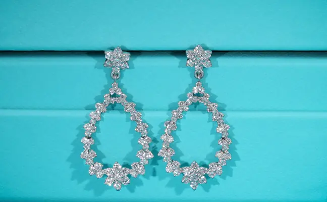 Lab Grown Diamond Round Brilliant Floral Drop Earrings