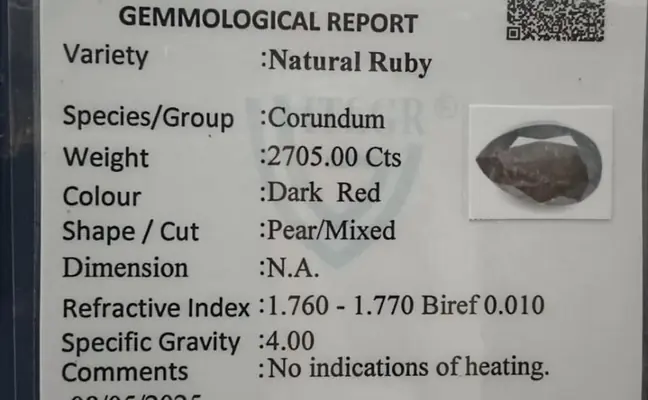 Giant Natural Ruby  2705 Carats  Dark Red Antique Pear Shape Natural Ruby Gemstone Certified Untreated Collector's Piece