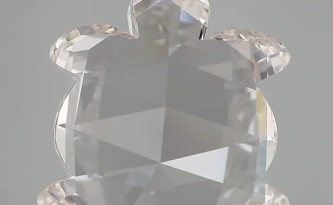 12.73ct H VVS2 Turtle (IGI)