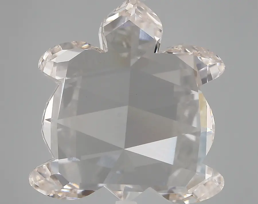 12.73ct H VVS2 Turtle (IGI)