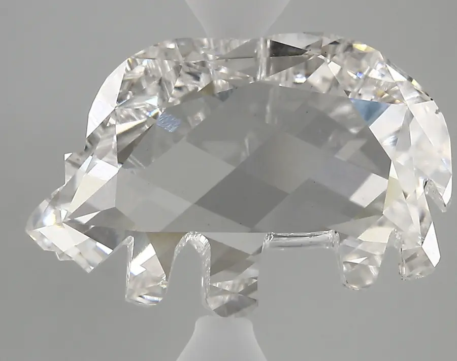 8.17ct F VS1 Rhinoceros (IGI)