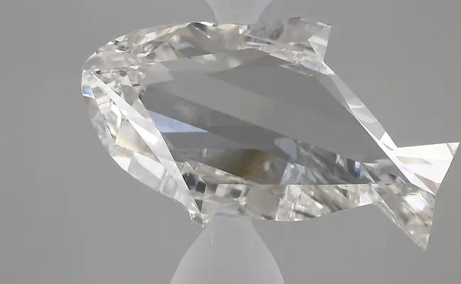 7.64ct F VS1 Dolphin (IGI)