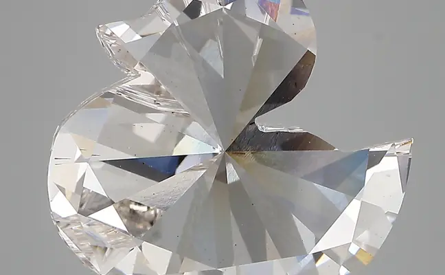 6.85ct G VS2 Duck (IGI)