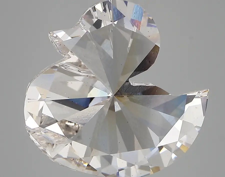 6.85ct G VS2 Duck (IGI)