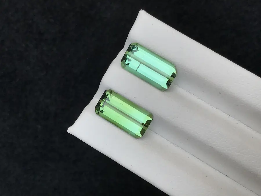 Tourmaline pair