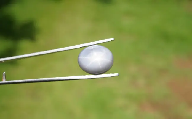 29 ct Gray Star Sapphire