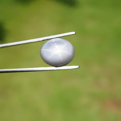 29 ct Gray Star Sapphire